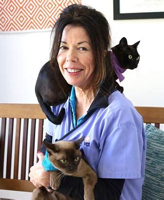 the berwick village vet|SERVICES .